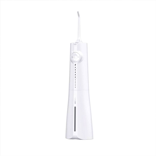 دستگاه شستشوی دهان و دندان GREEN LION ORAL IRRIGATOR